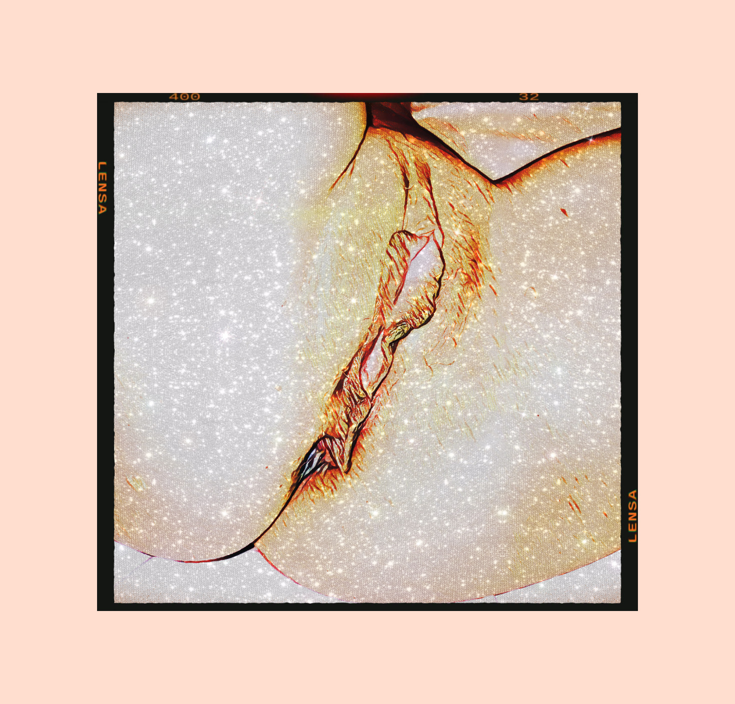 La vulva, el clitoris, el ano