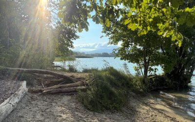 Plage de la Petite Amérique / 1462 Yvonand / Suiza